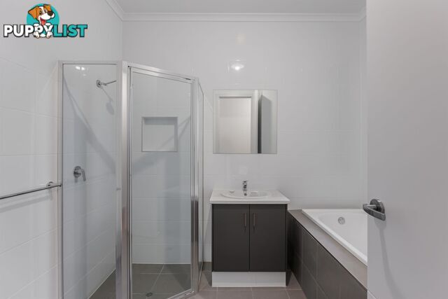 86 Webb Street QUEENSTOWN SA 5014
