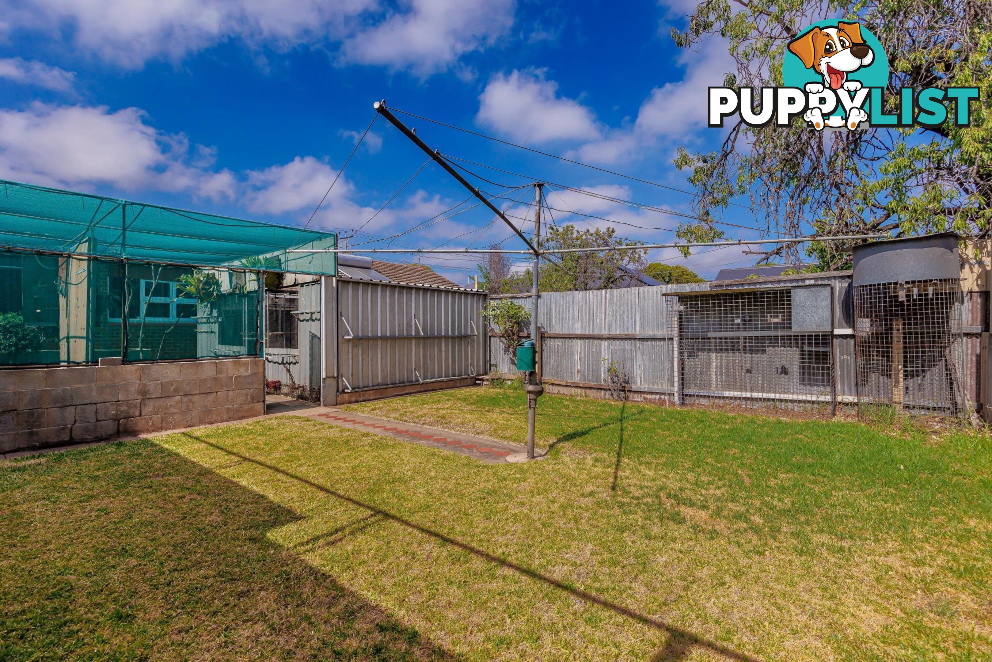 12 Pym Street CROYDON PARK SA 5008