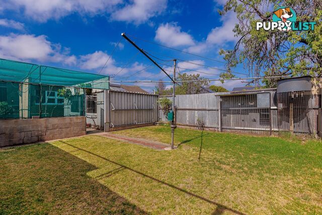 12 Pym Street CROYDON PARK SA 5008