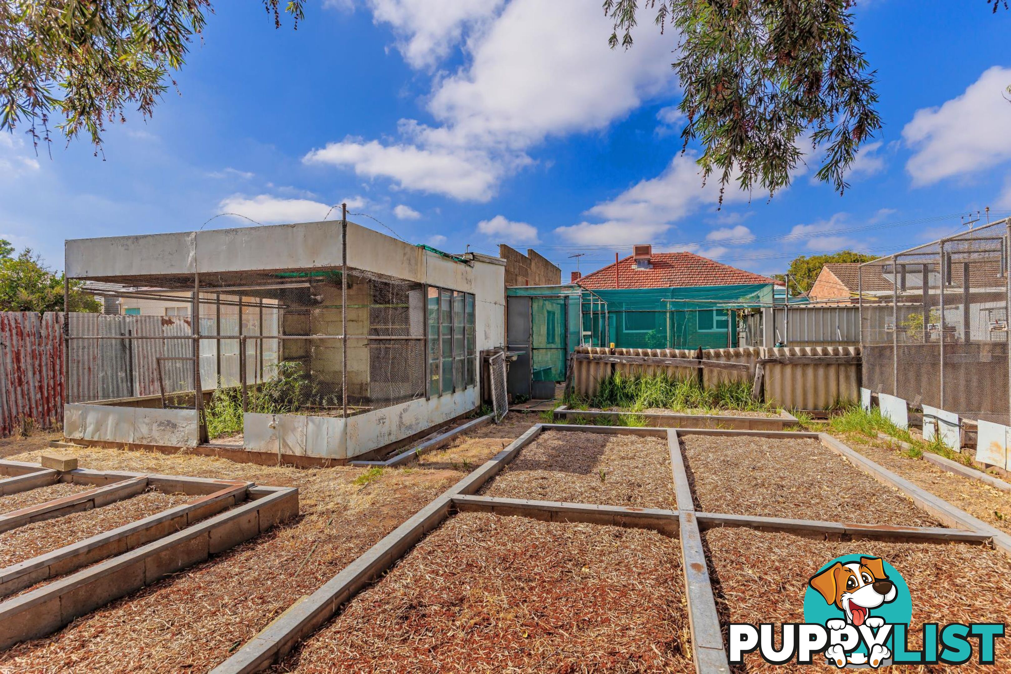 12 Pym Street CROYDON PARK SA 5008