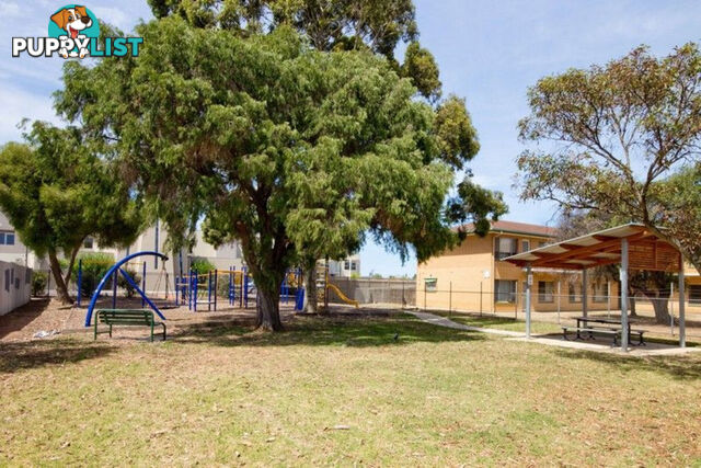 31/185 Tapleys Hill Road SEATON SA 5023