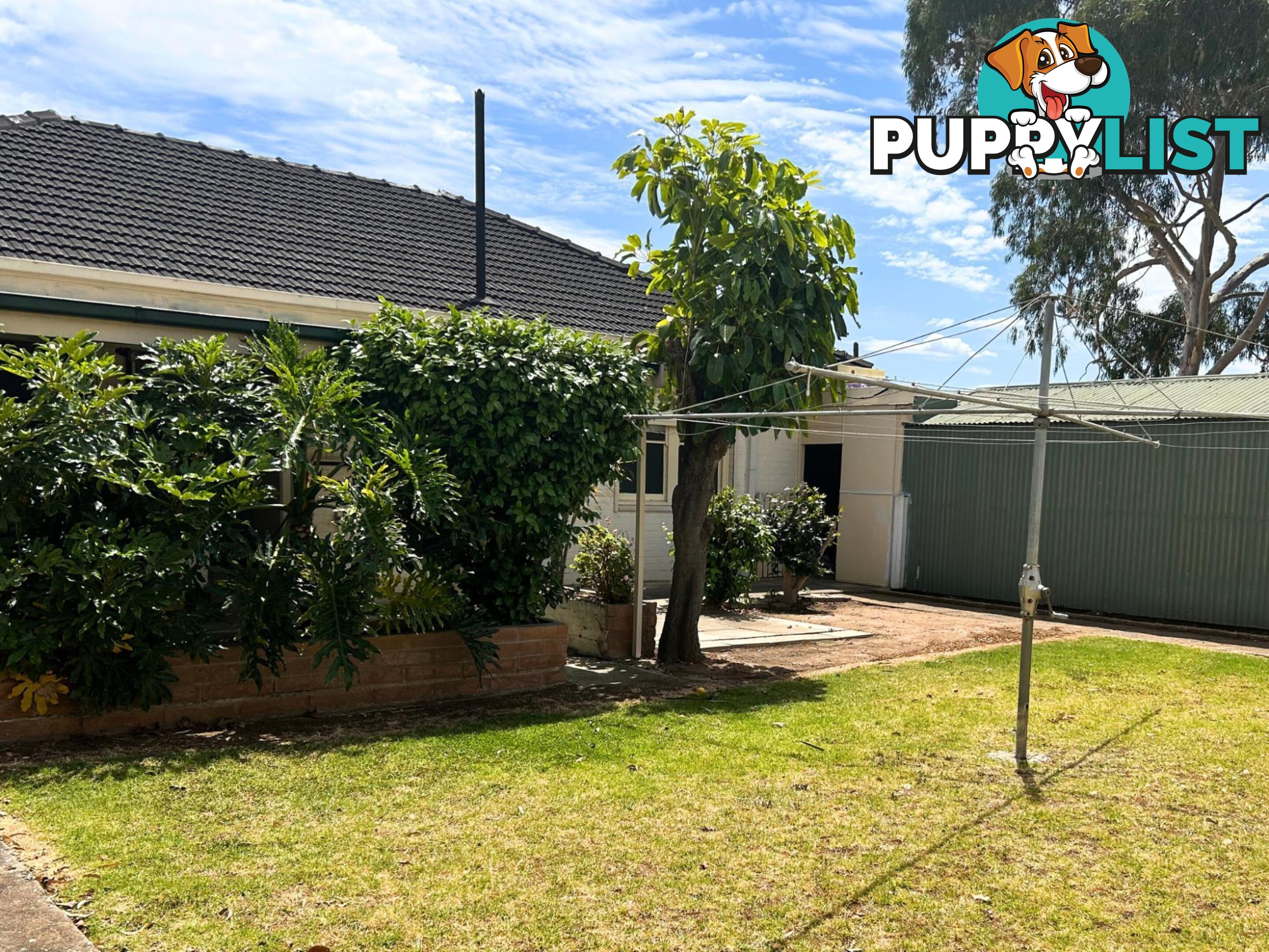 15 Strathbogie Avenue FINDON SA 5023