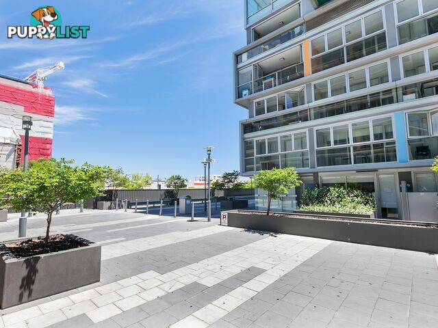 Apartment 1804/142-184 Franklin Street ADELAIDE SA 5000