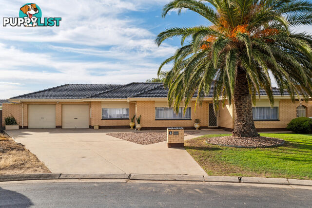 6 Katcomba Court WEST LAKES SA 5021