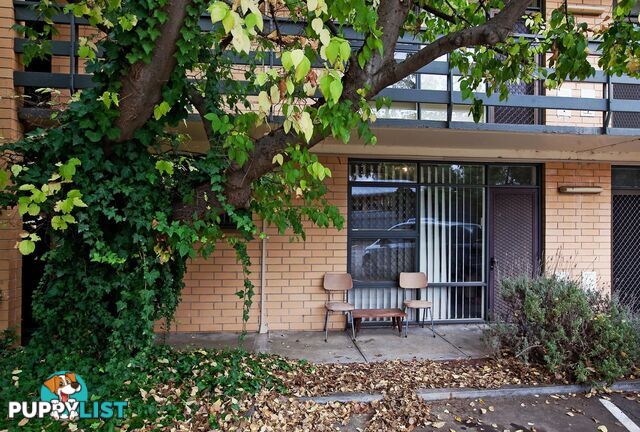 5/150 Childers Street NORTH ADELAIDE SA 5006