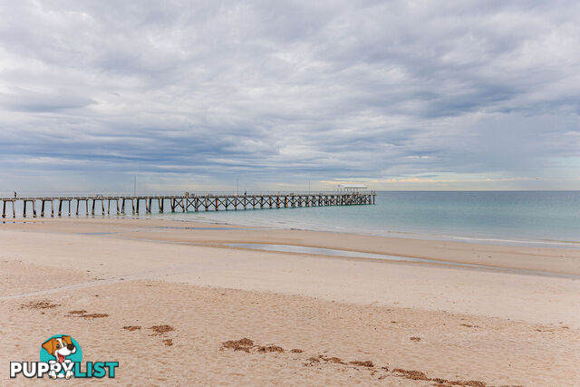9/267 Esplanade HENLEY BEACH SA 5022