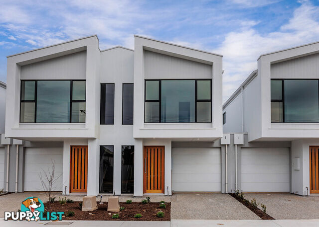 5/2 Rawlings Avenue TORRENSVILLE SA 5031