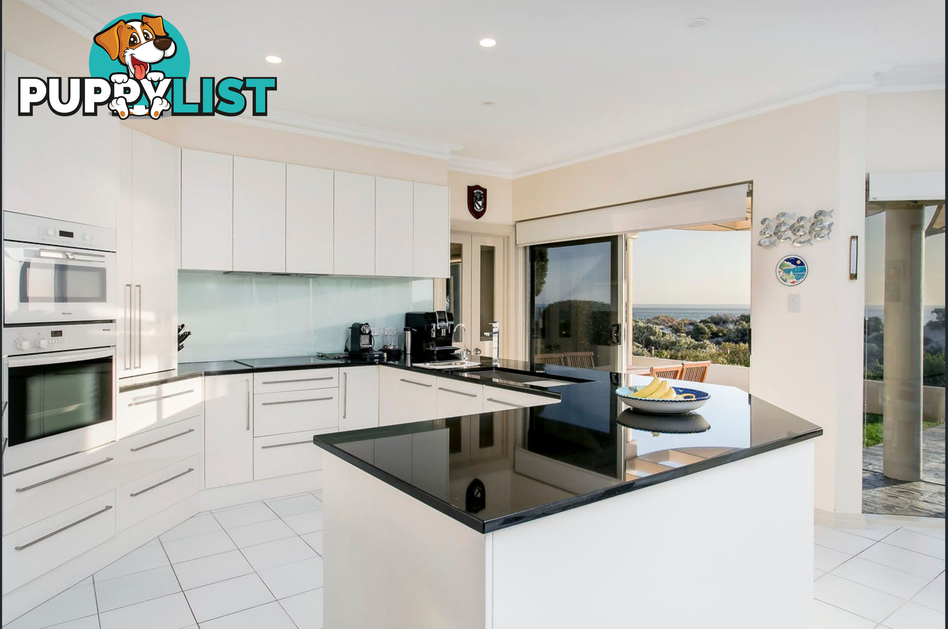 16 Dune Court WEST LAKES SHORE SA 5020