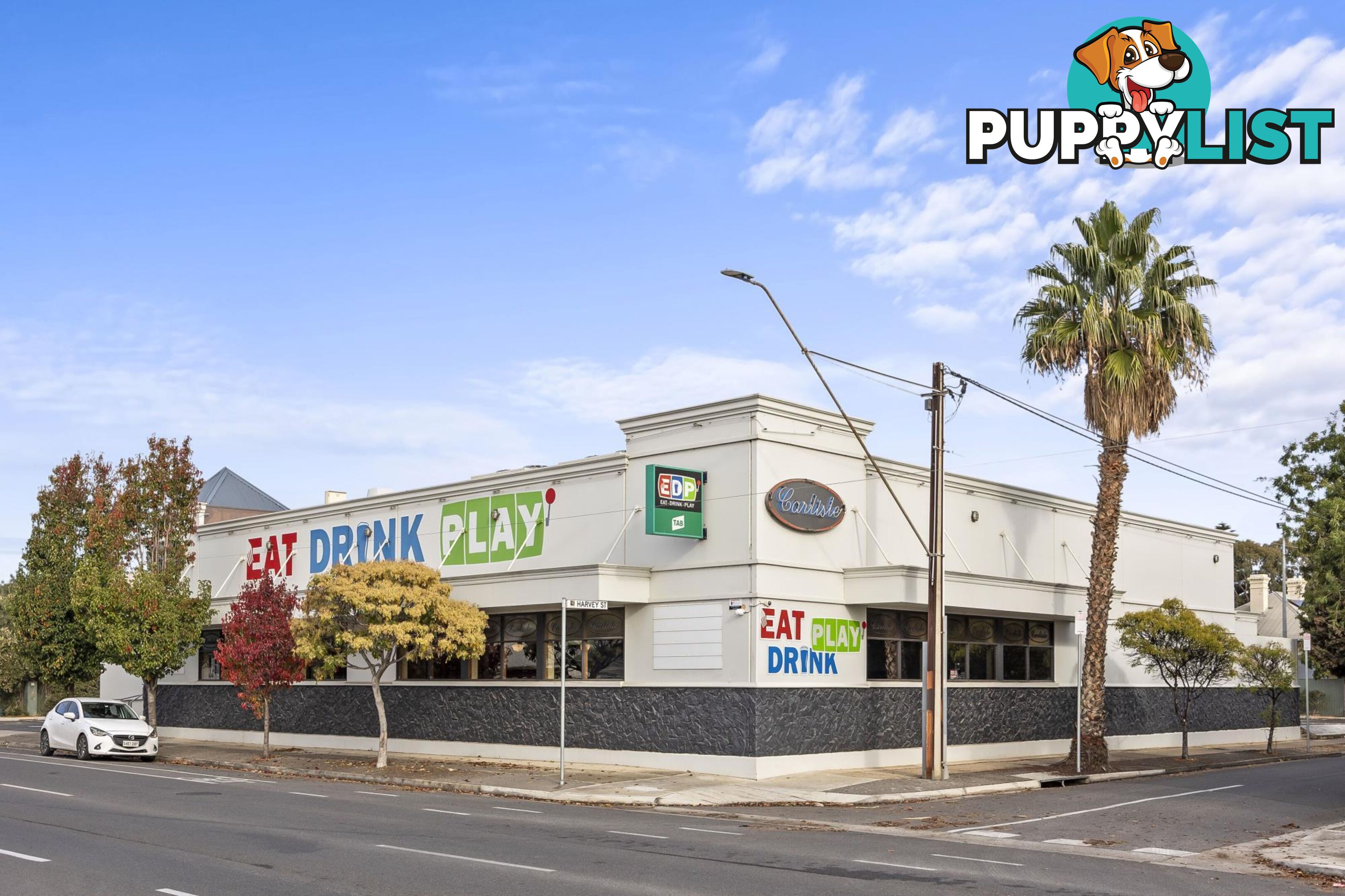 44 Carlisle Street ETHELTON SA 5015