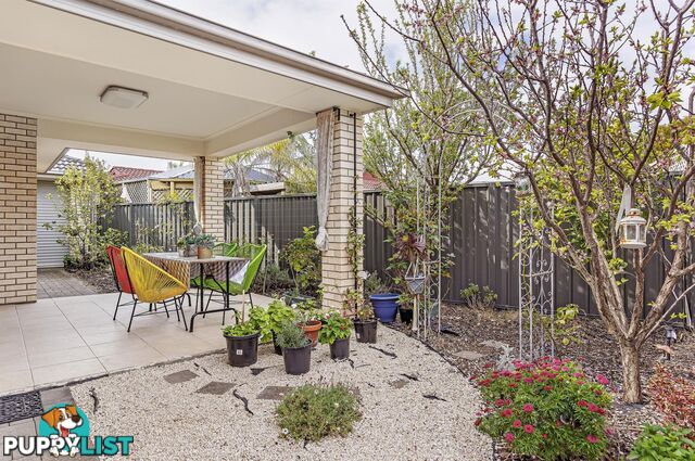 16 Huron Grove WEST LAKES SA 5021