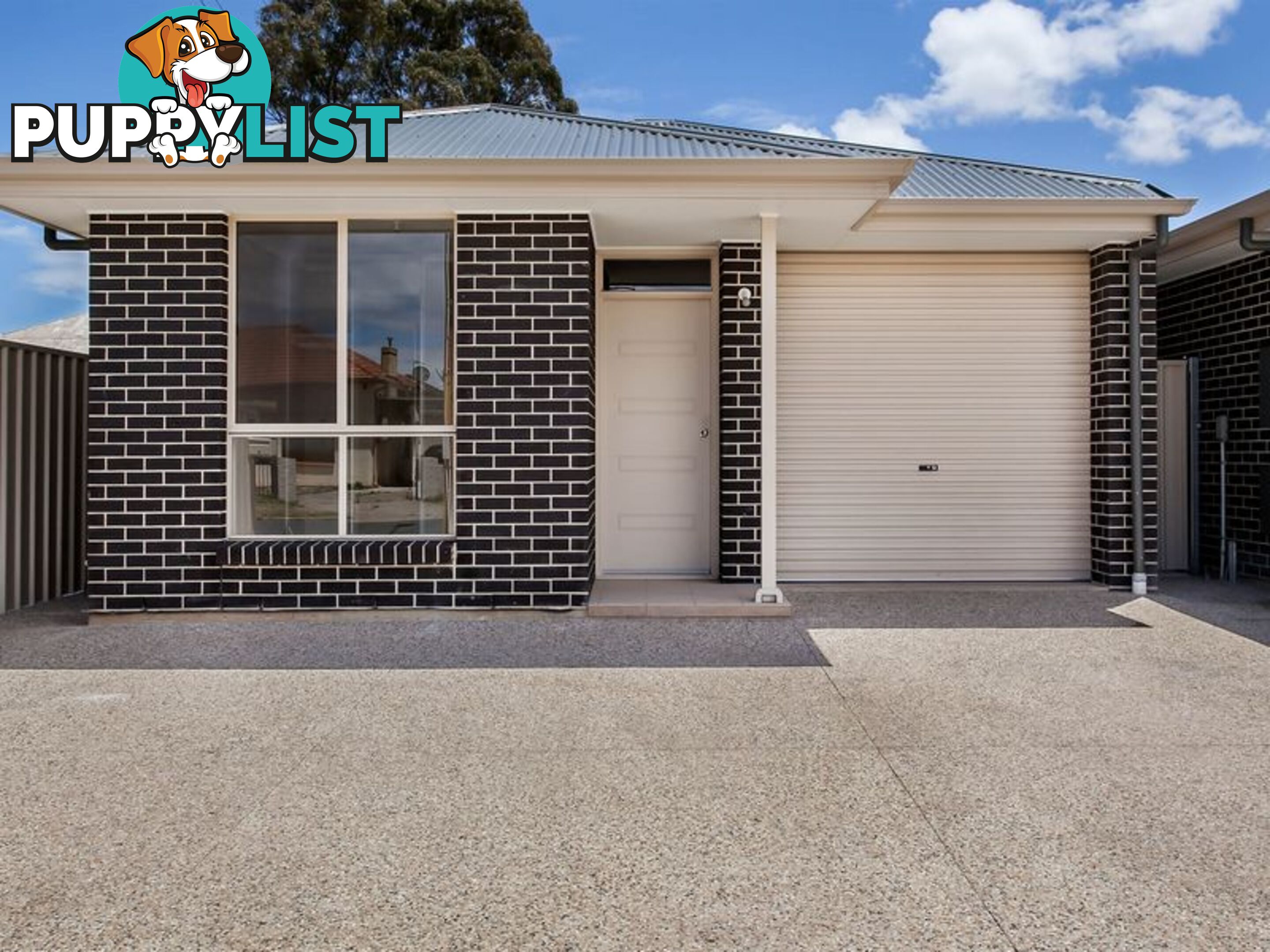 20 Annette Street ATHOL PARK SA 5012