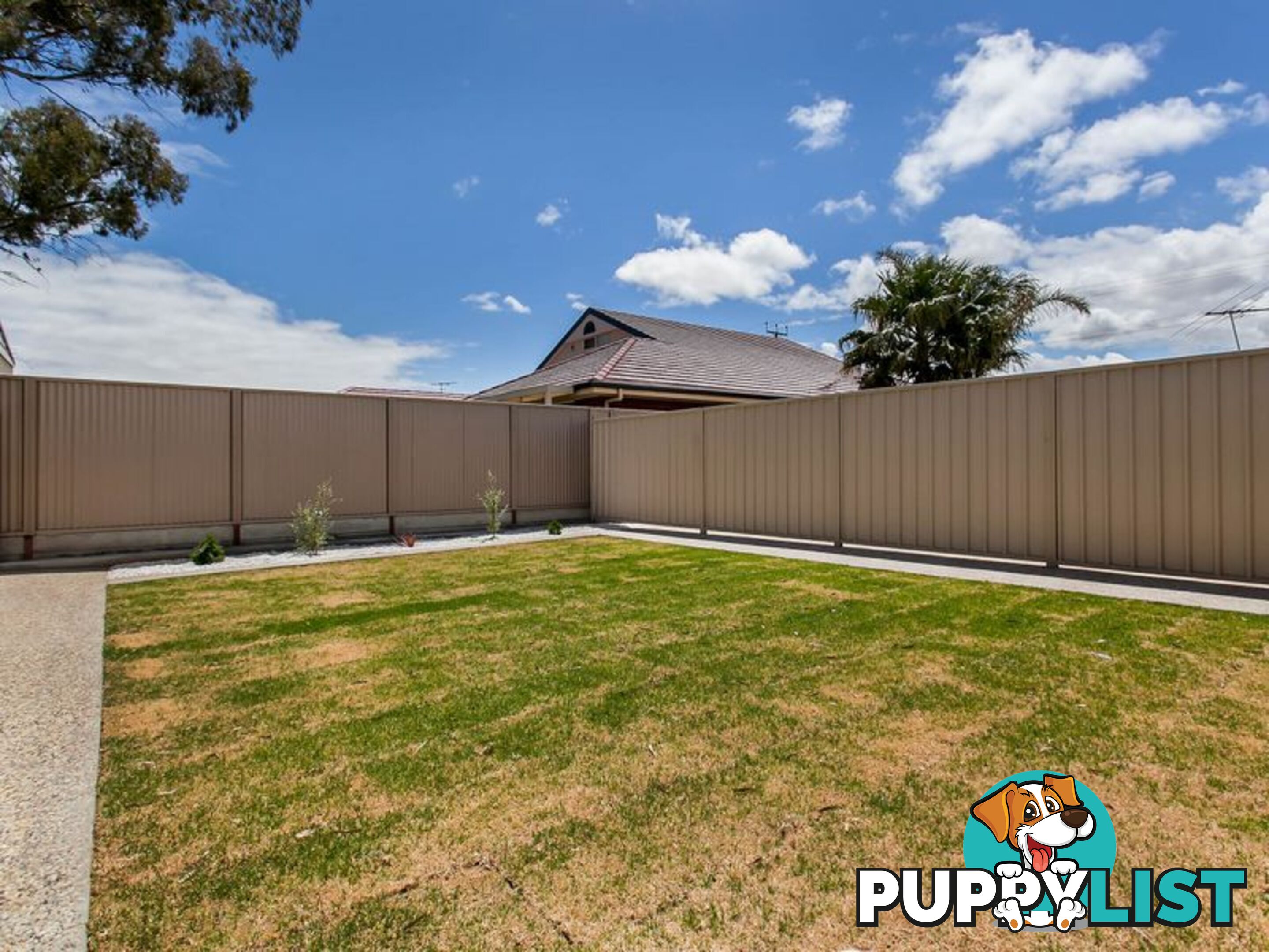 20 Annette Street ATHOL PARK SA 5012