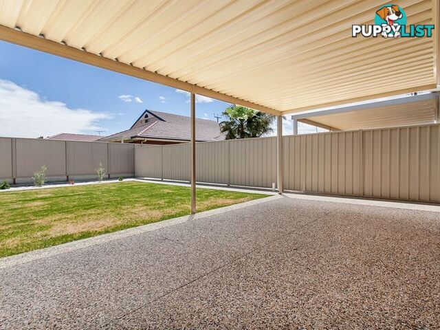 20 Annette Street ATHOL PARK SA 5012