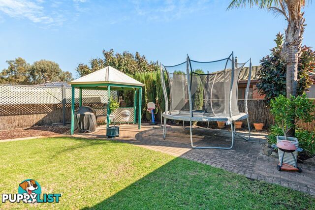 38 Lakeview Avenue WEST LAKES SA 5021