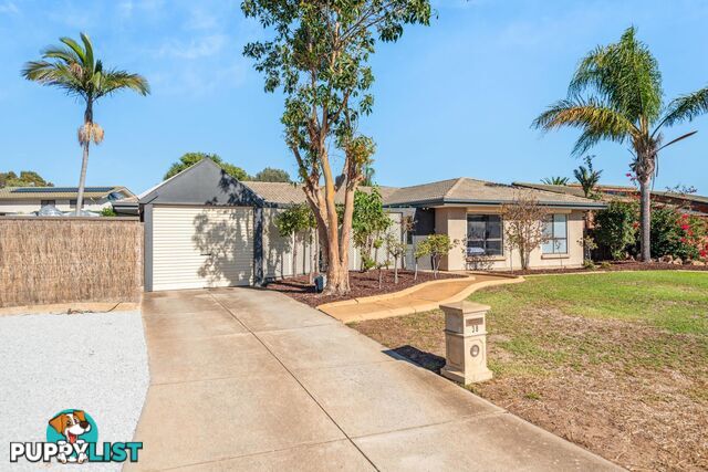 38 Lakeview Avenue WEST LAKES SA 5021