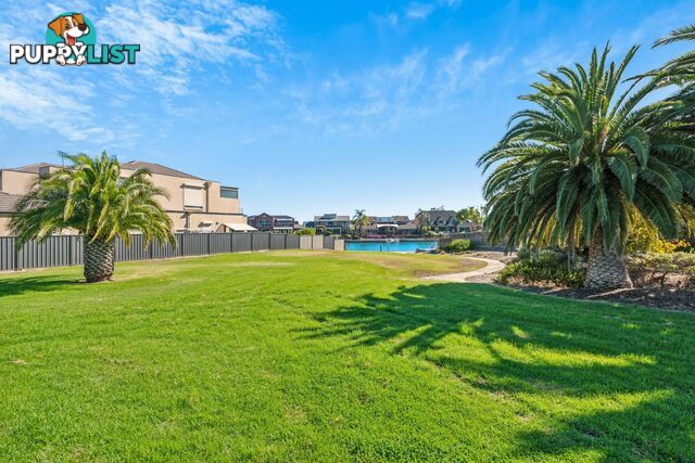 38 Lakeview Avenue WEST LAKES SA 5021