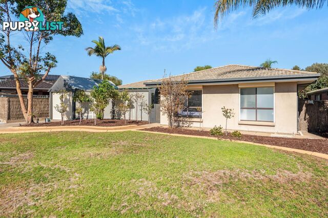 38 Lakeview Avenue WEST LAKES SA 5021