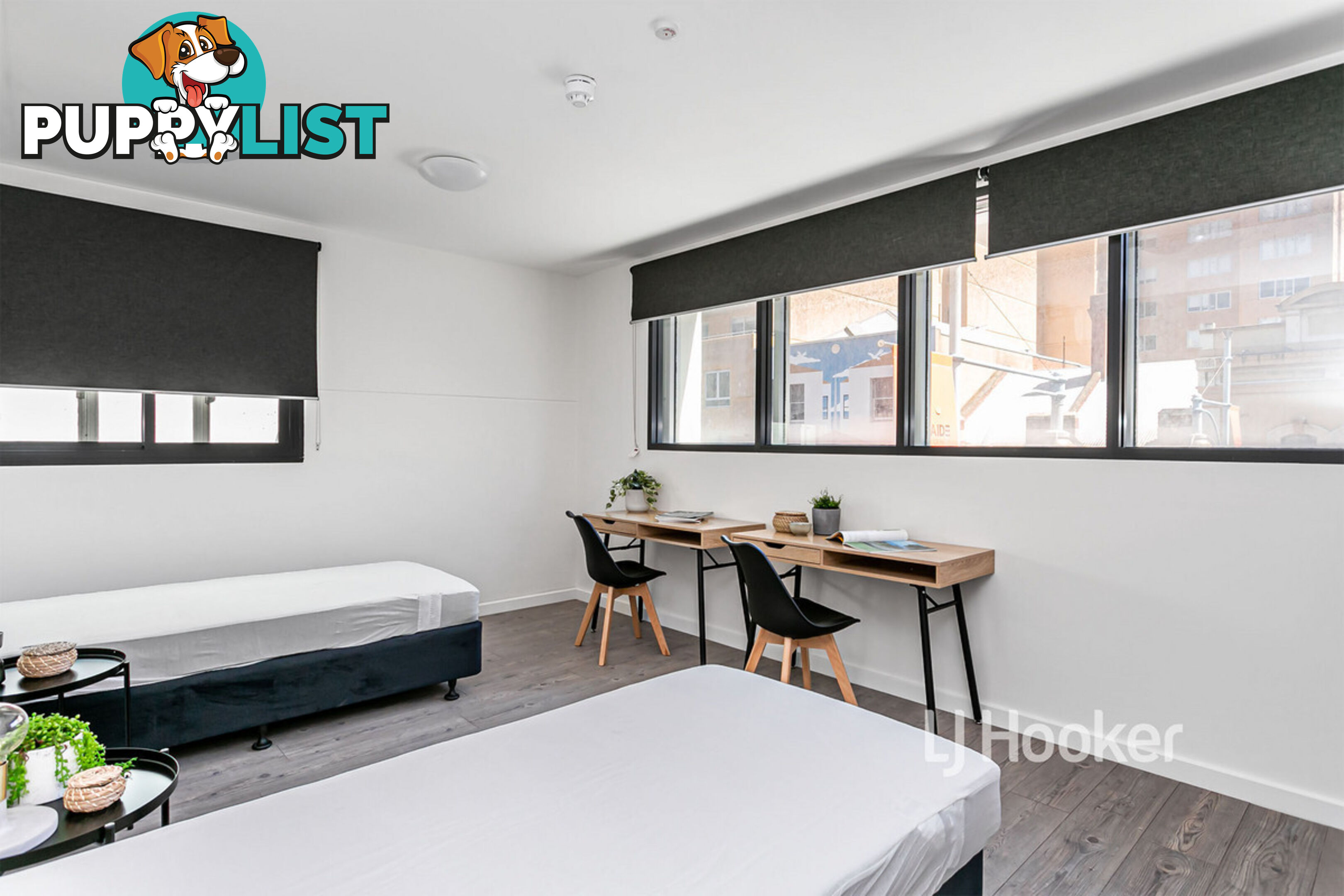 2/79a Hindley Street ADELAIDE SA 5000