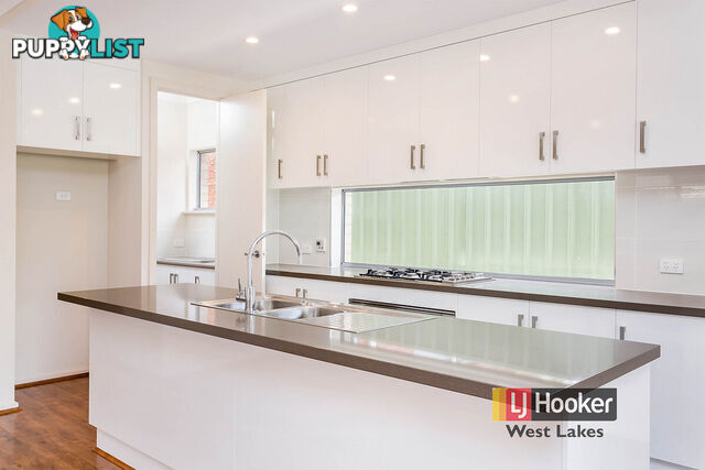 38 William Street SOUTH PLYMPTON SA 5038