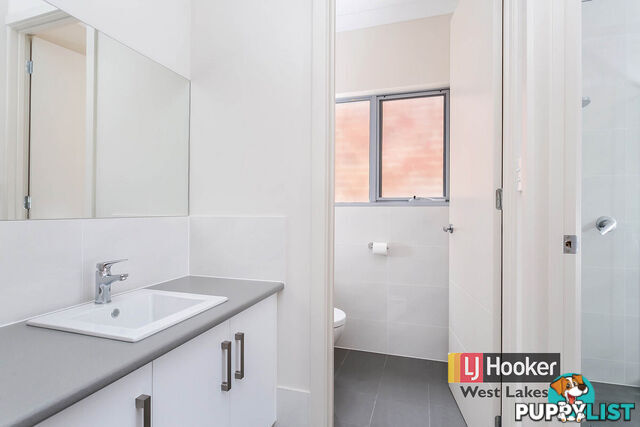 38 William Street SOUTH PLYMPTON SA 5038