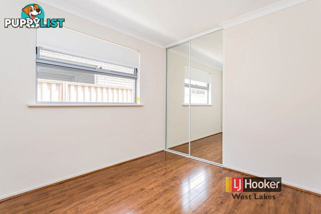38 William Street SOUTH PLYMPTON SA 5038