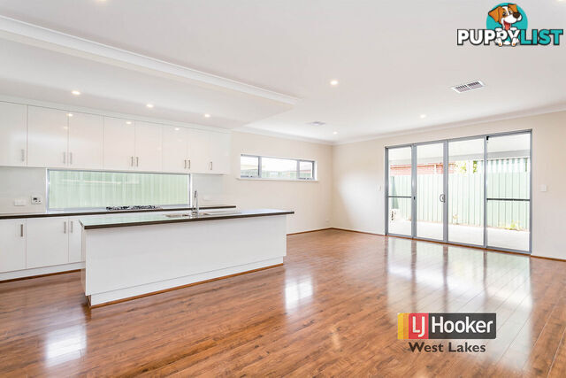 38 William Street SOUTH PLYMPTON SA 5038