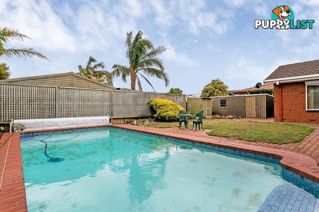 4 Santiago Street WEST LAKES SHORE SA 5020