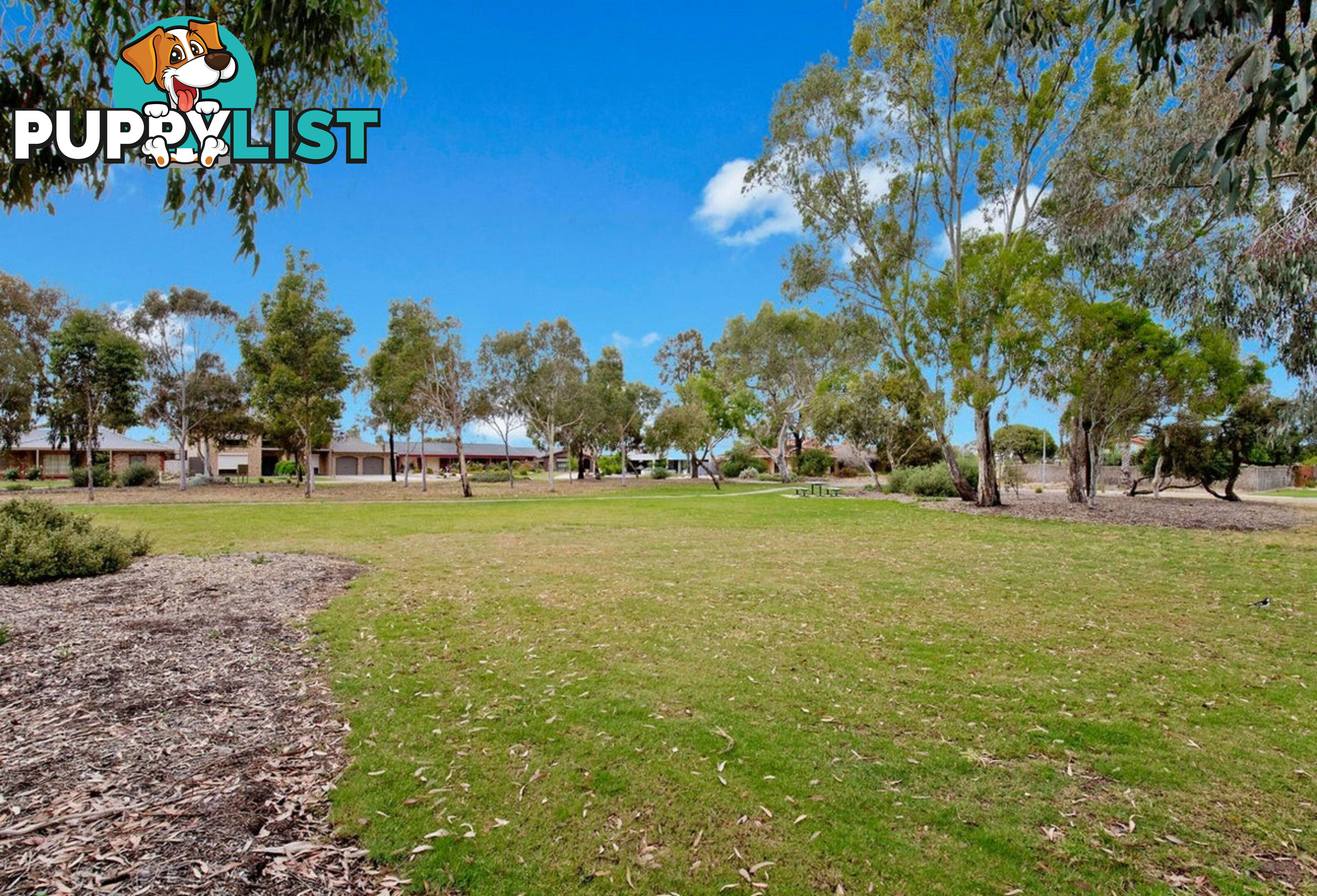 25a Lambert Avenue WEST LAKES SHORE SA 5020