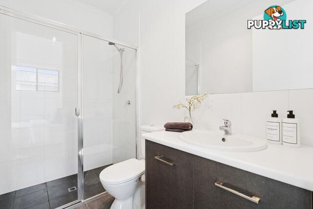 3/18 Anne Street ROYAL PARK SA 5014