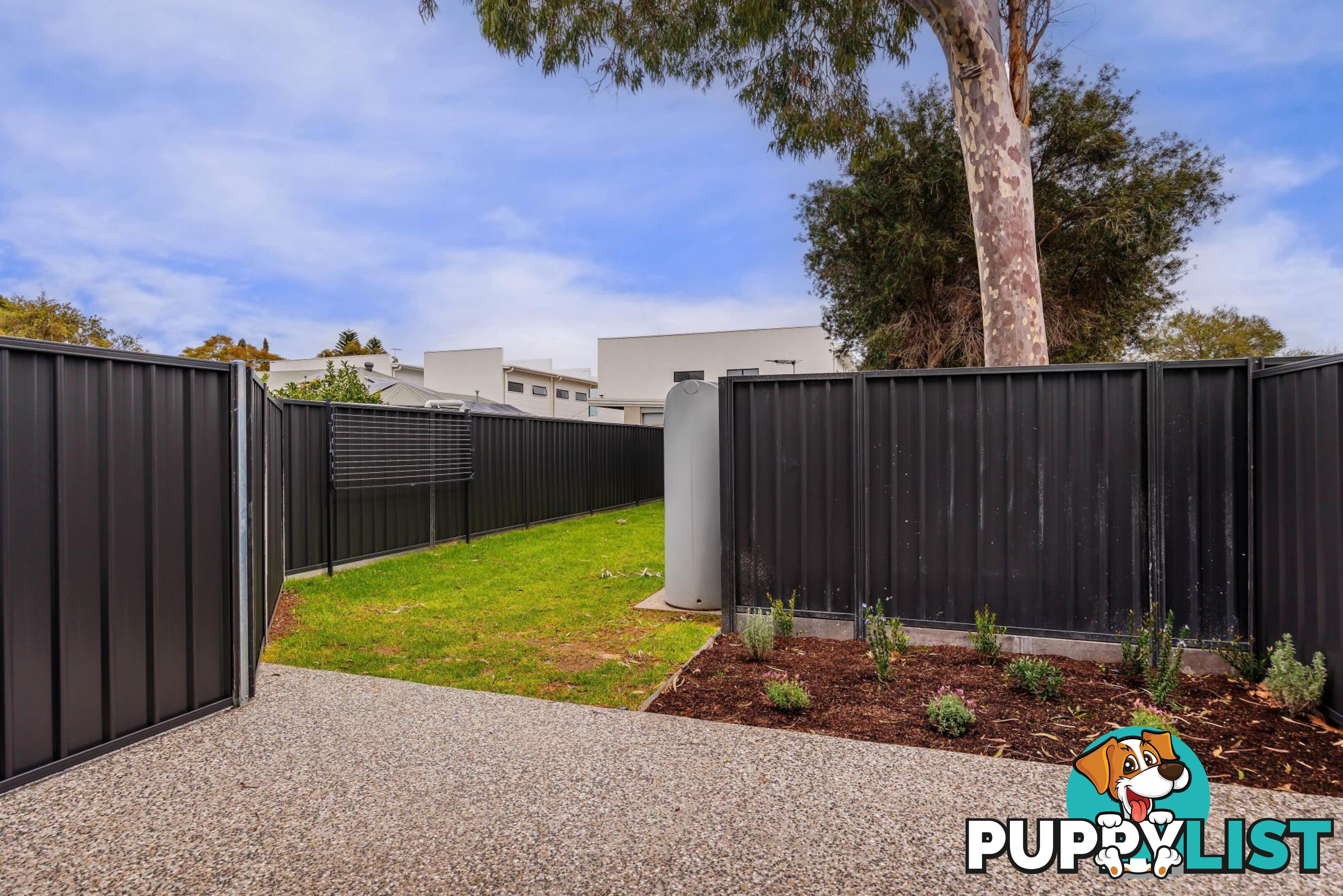 6/2 Rawlings Avenue TORRENSVILLE SA 5031