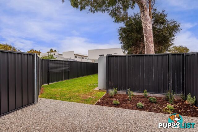 6/2 Rawlings Avenue TORRENSVILLE SA 5031