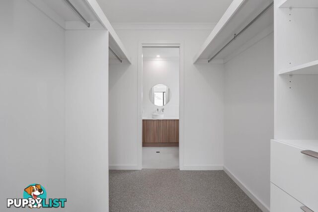 6/2 Rawlings Avenue TORRENSVILLE SA 5031