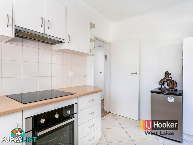 1/4 Douglas Grove GLENELG NORTH SA 5045