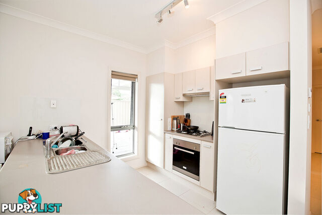 16 Osborne Street ALBERT PARK SA 5014