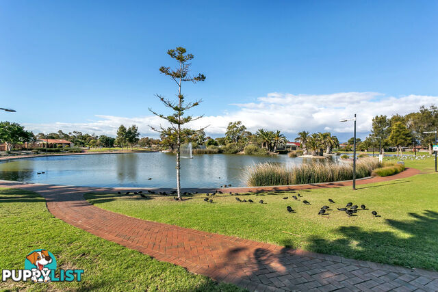 10/7 Mooloola Way WEST LAKES SHORE SA 5020