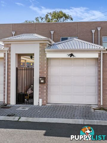 11 Carbone Terrace ST CLAIR SA 5011