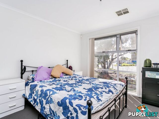 11 Carbone Terrace ST CLAIR SA 5011