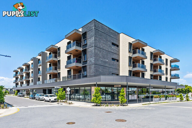 313/55 Phillips Street WEST LAKES SA 5021