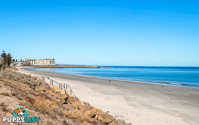 11/33 North Esplanade GLENELG NORTH SA 5045