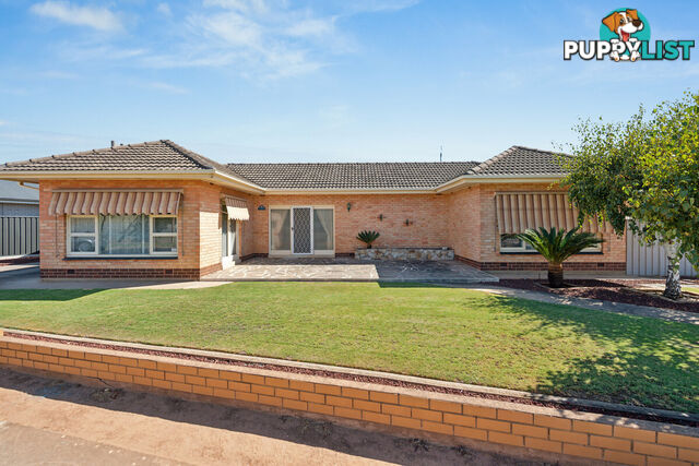 49 Fife Street WOODVILLE SOUTH SA 5011