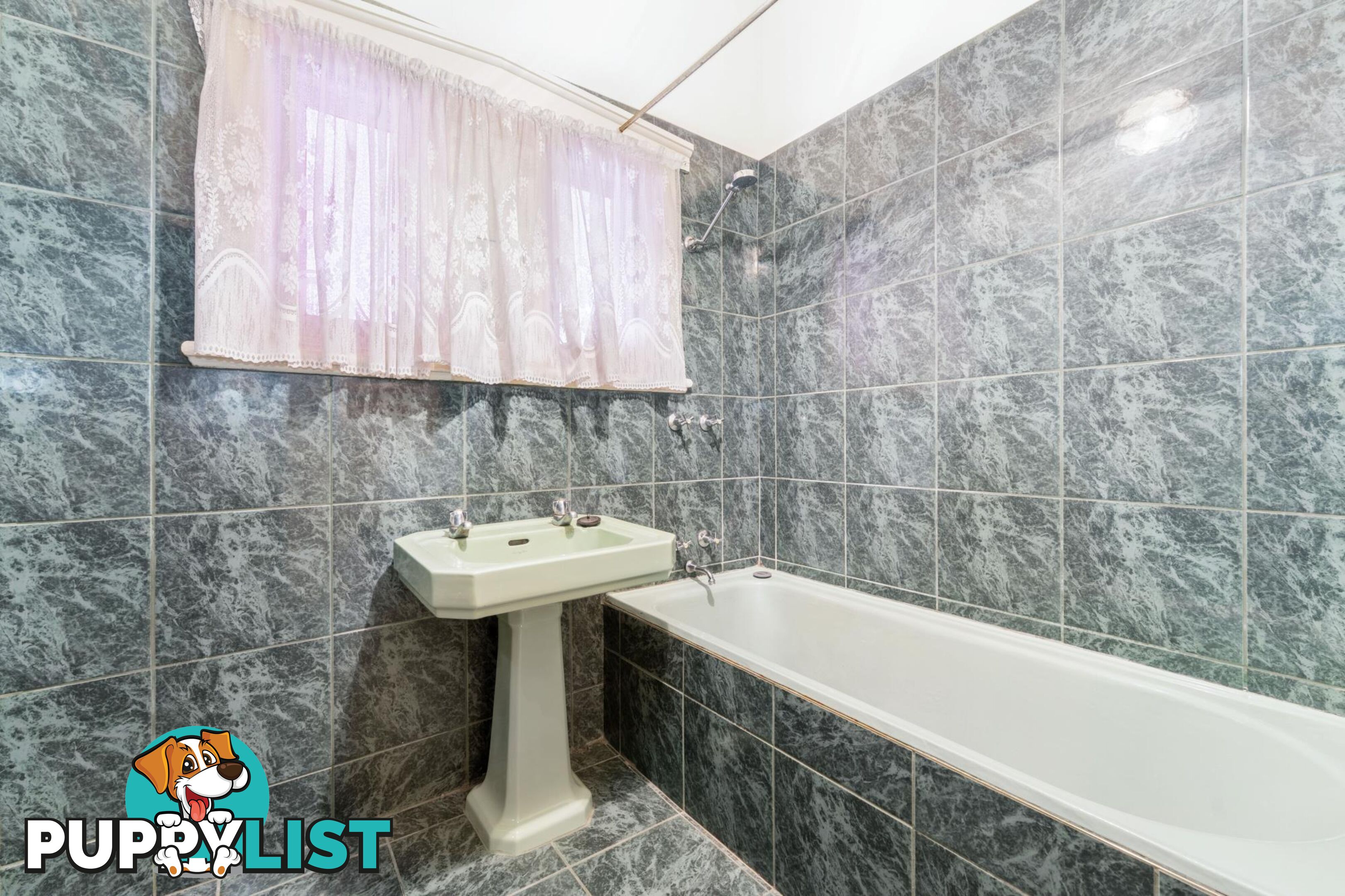 81 Euston Terrace WEST CROYDON SA 5008