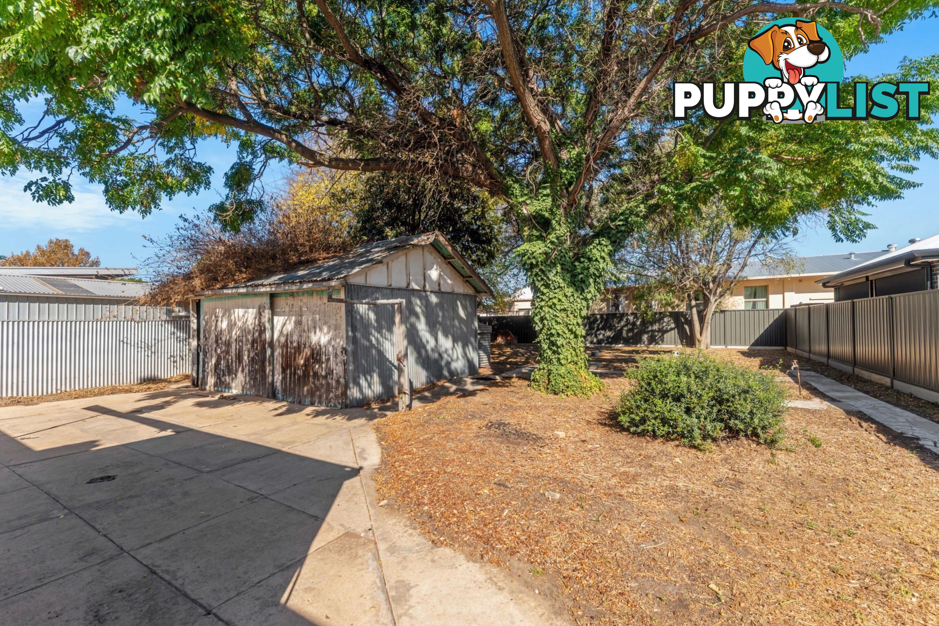 81 Euston Terrace WEST CROYDON SA 5008