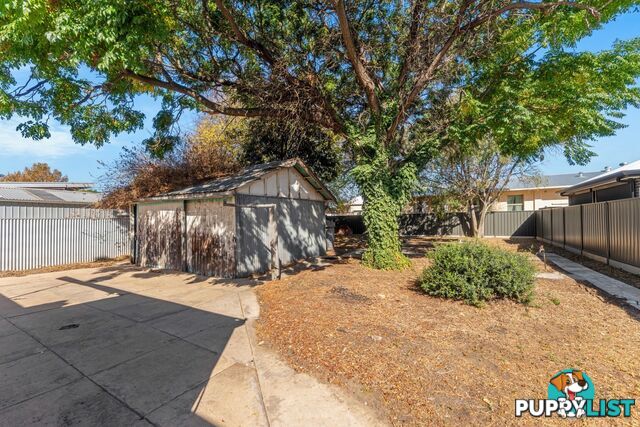 81 Euston Terrace WEST CROYDON SA 5008