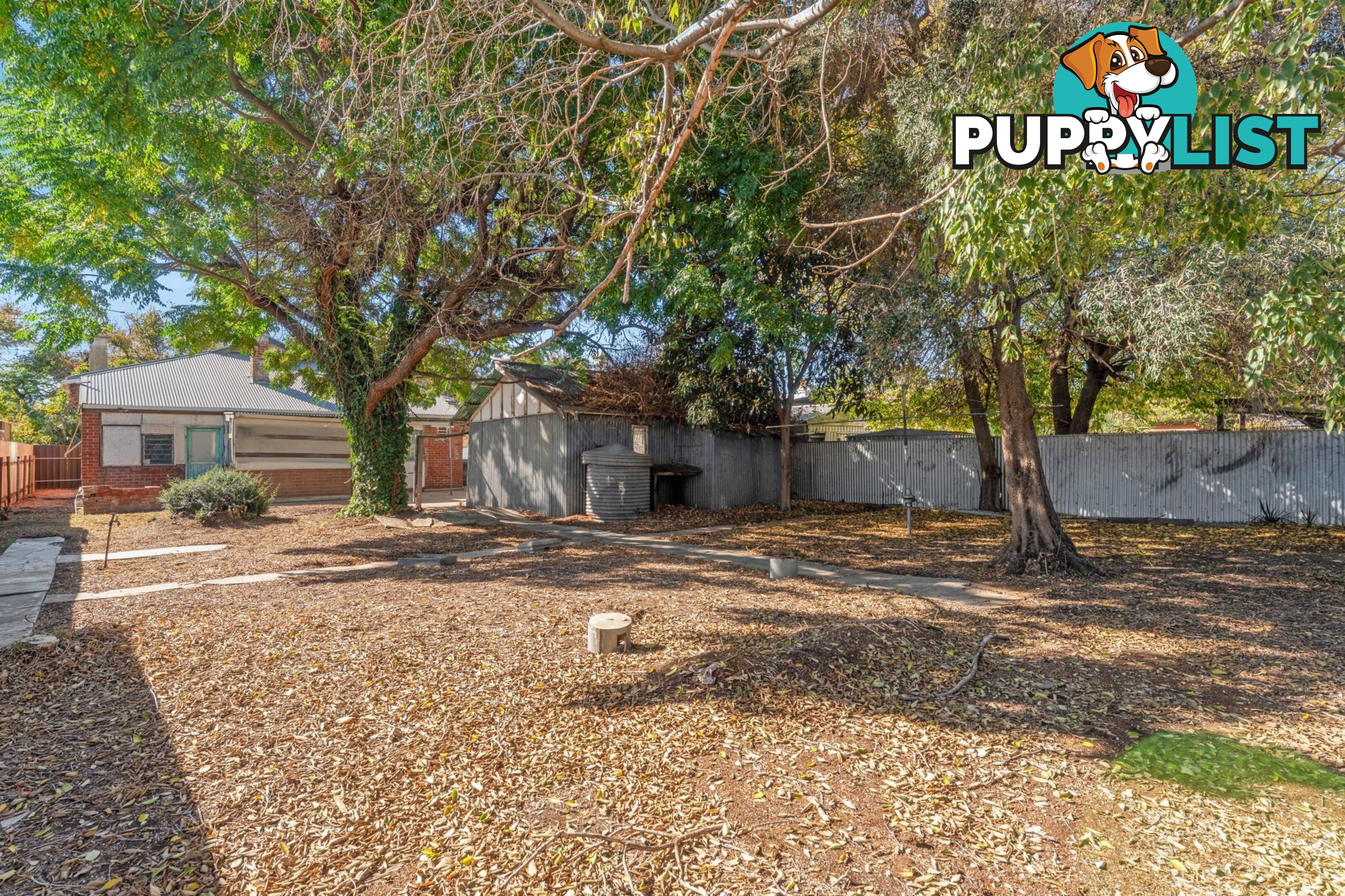81 Euston Terrace WEST CROYDON SA 5008
