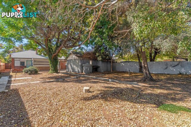 81 Euston Terrace WEST CROYDON SA 5008