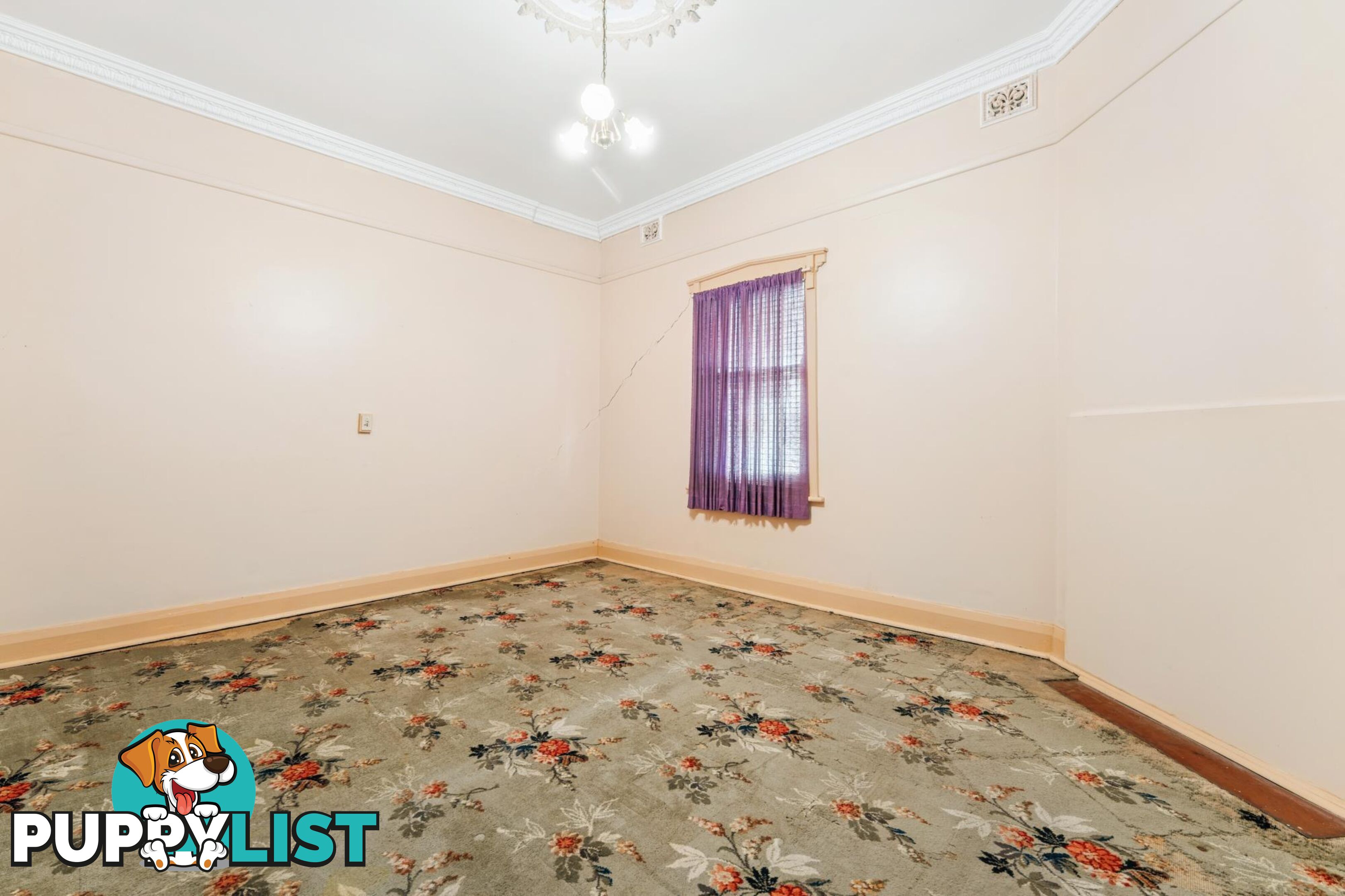 81 Euston Terrace WEST CROYDON SA 5008