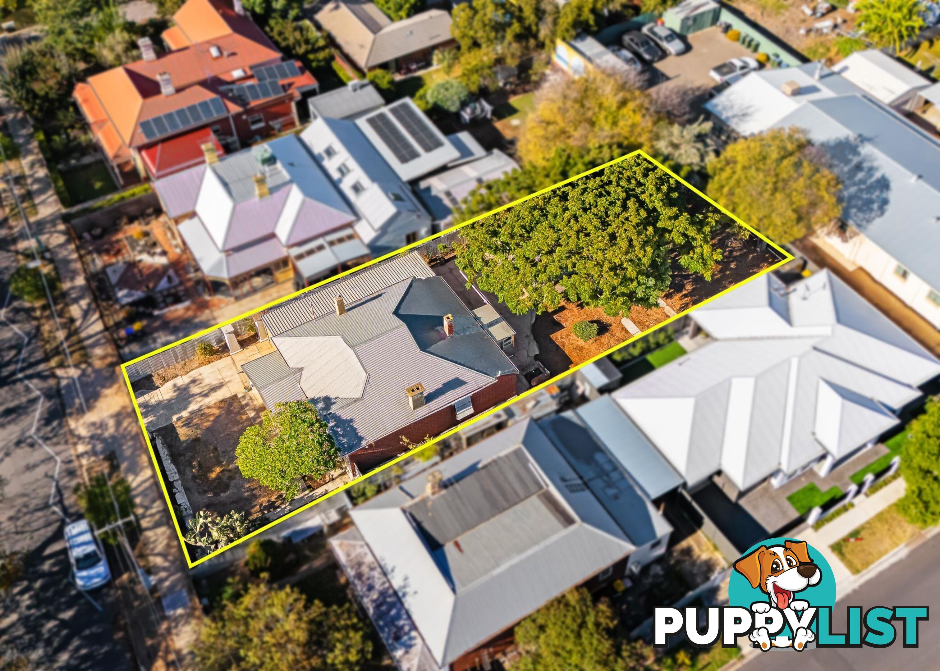 81 Euston Terrace WEST CROYDON SA 5008