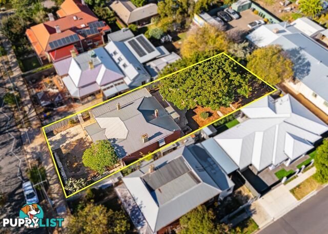 81 Euston Terrace WEST CROYDON SA 5008