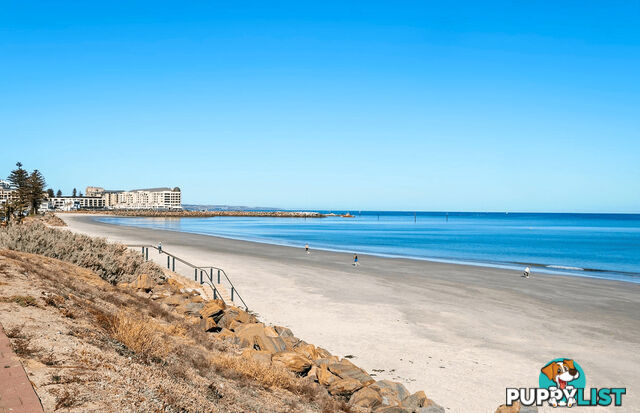 17/33 North Esplanade GLENELG NORTH SA 5045