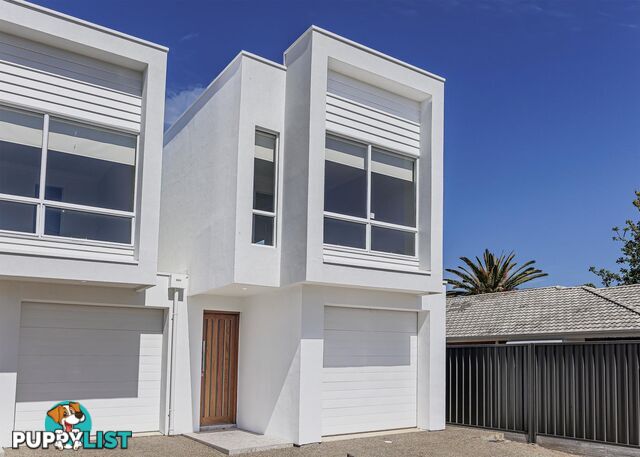 6 Padget Street CAMDEN PARK SA 5038